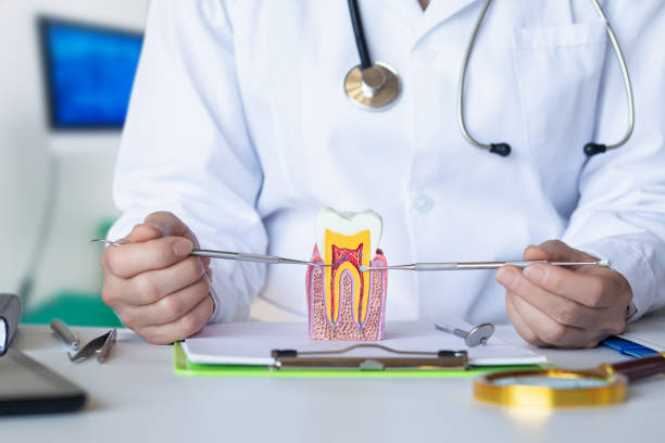 Best Broken or Cracked Tooth Emergency Dentist in Kings Mountain, NC